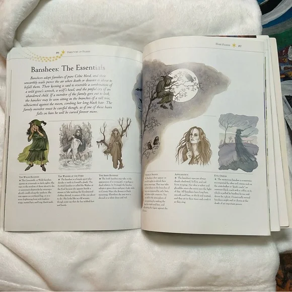 Watercolor Fairies Art Book by David Riche & Anna Franklin - 2004 Fantasy Paint - Picture 7 of 10